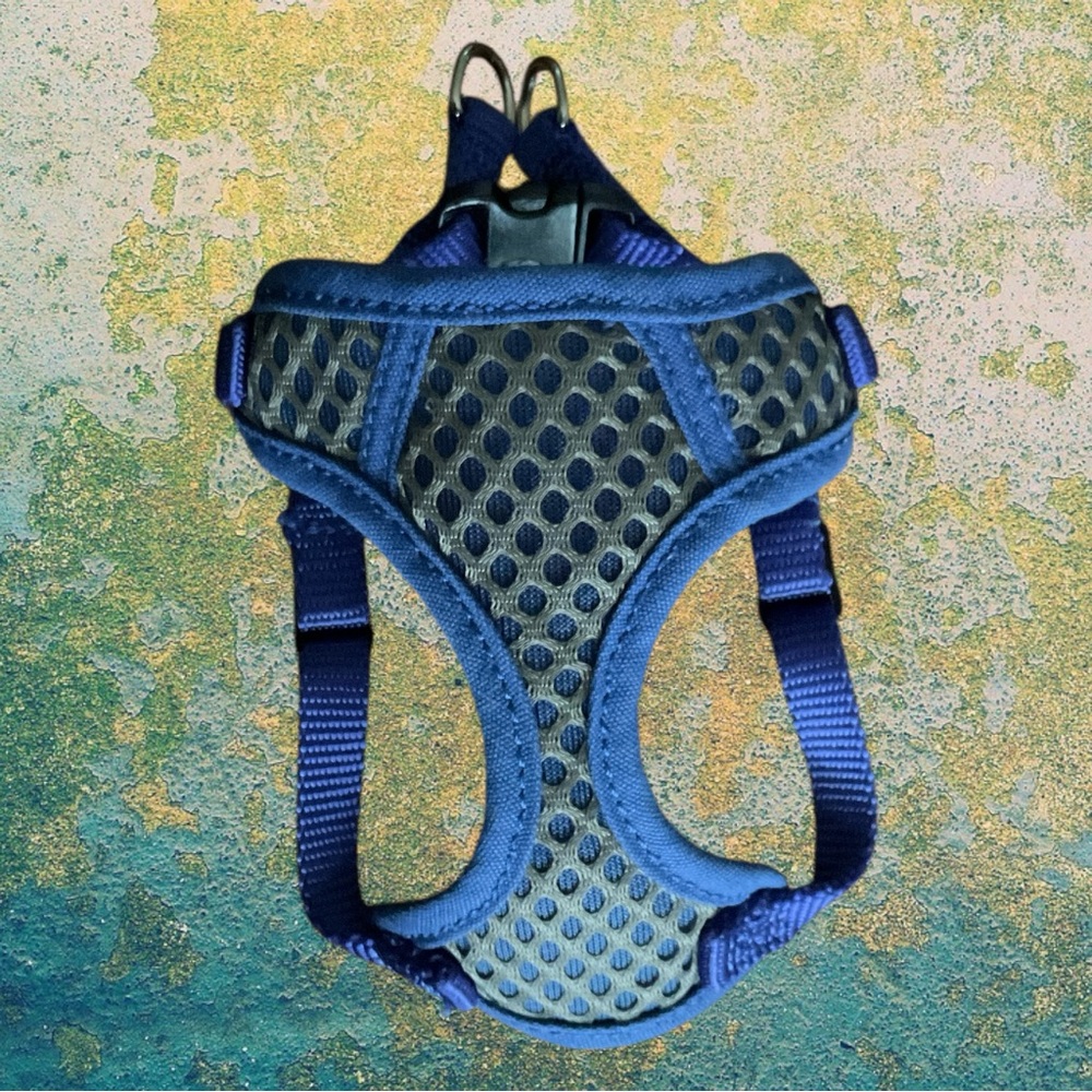 💖 Tiny Mesh Dog Harness 💖